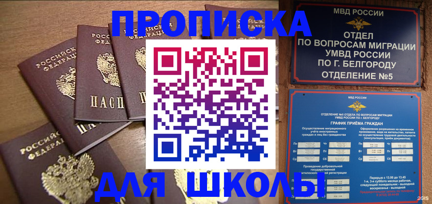 прописка гарантия в Ковылкино
